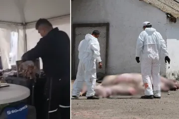 Otkazana popularna Pečenkijada, Slavonci bijesni: 'Oduzeli su pečeno prase, ovo je dušmanska represija'