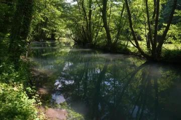 Otišao brati gljive, našli ga bez glave: 'Osjetili su okus ljudskog mesa...'