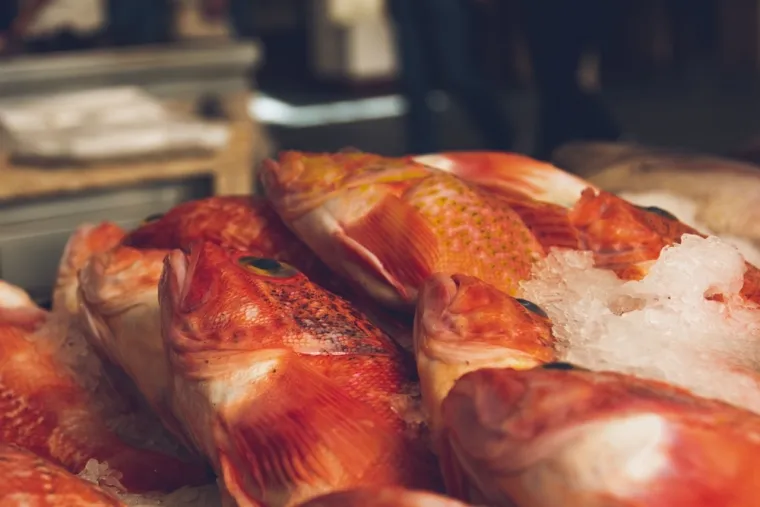 Stručnjaci za hranu: 'Puno je hranjivih tvari, a mi ga samo odrežemo i bacimo u smeće'