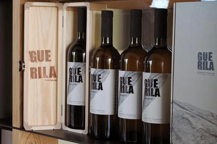 Europski grad kulture 2025. koji priča povijesne tajne i vodi u ljepote Vipavske doline