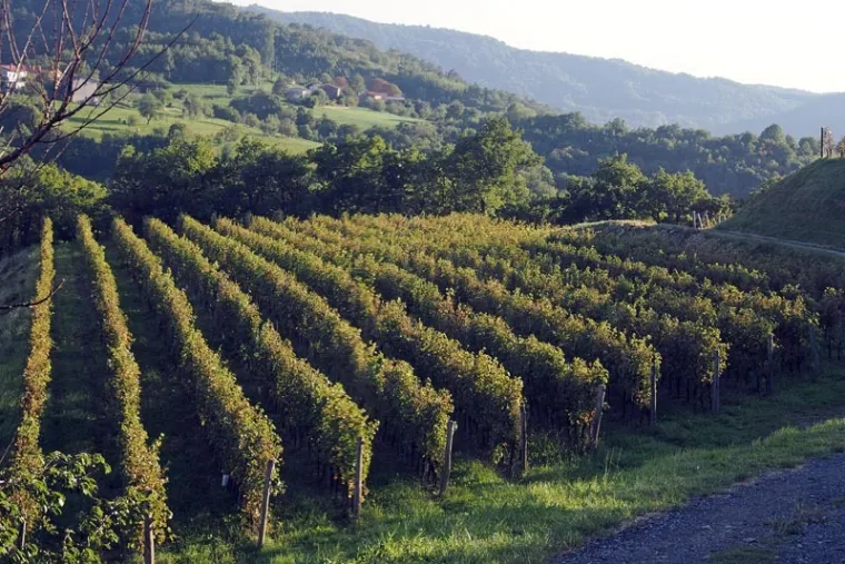 Europski grad kulture 2025. koji priča povijesne tajne i vodi u ljepote Vipavske doline