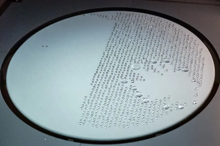 Hrvatski stručnjak za umjetnu inteligenciju: 'Prava su opasnost ljudi koji nemaju dobru namjeru, ne AI'