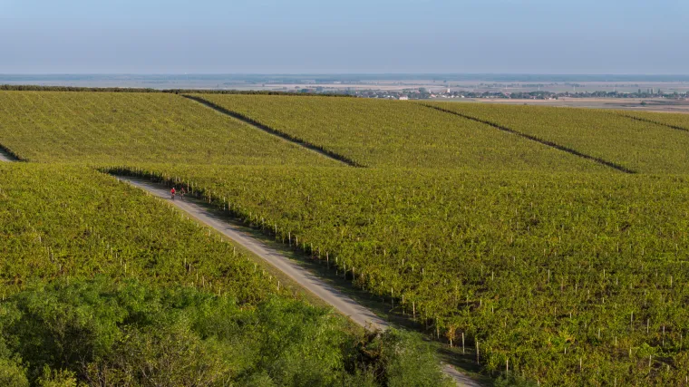 Vikend za dušu u Slavoniji i Baranji