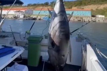 Ulovili su divovsku tunu te su podivljali od sreće kada su shvatili koliko će na njoj zaraditi