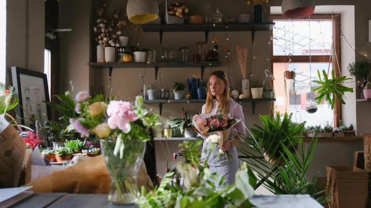 Ove četiri biljke najbolje uklanjaju toksine iz doma: Zrak će biti čišći, a prostor ljepši