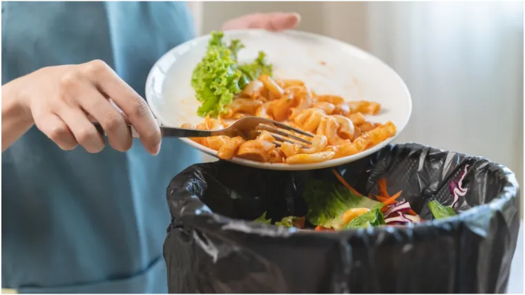 Hrvatska se suočava s paradoksom: Kante za smeće otkrivaju zabrinjavajuću istinu