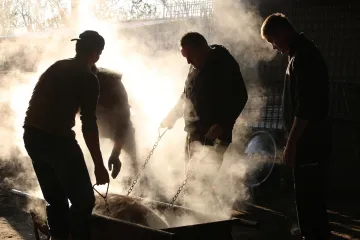 Strah od virusa ubrzao kolinje: 'Što ako se kuga proširi, da ne mogu klati?'