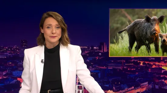 Mojmira pokazala najbolju snimku koju ćete vidjeti cijeli tjedan: 'Ako se pitate...'