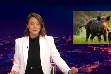 Mojmira pokazala najbolju snimku koju ćete vidjeti cijeli tjedan: 'Ako se pitate...'