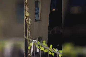 Bušite u 7 ujutro? E, pa susjedi vas sad mogu kazniti! Neki su već dobili opomene