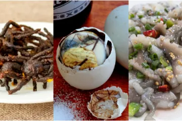 Kada vidite ova jela dići će vam se želudac: Nevjerojatno, ali specijaliteti su diljem svijeta