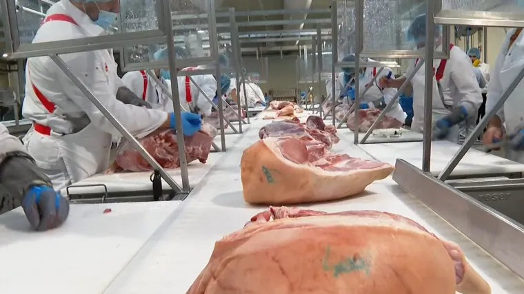 Doznajemo: Padaju nove nagodbe? Evo kako je 'kralj mesa' muljao s europskim novcima