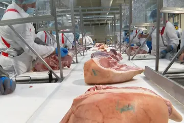 Doznajemo: Padaju nove nagodbe? Evo kako je 'kralj mesa' muljao s europskim novcima