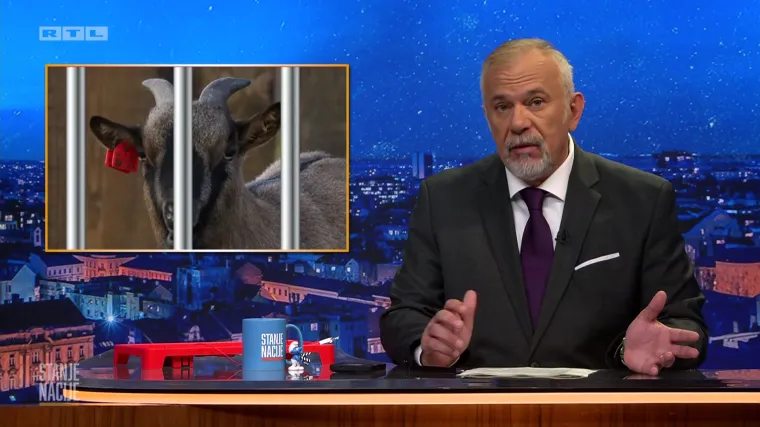 Nigerijska koza ogrebala dijete u Maksimiru, a pouka priče je da imigranti znaju ugristi ruku koja ih hrani