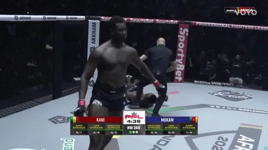 Nokaut strašan poput ovoga se rijetko viđa