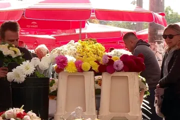 Počele pripreme za blagdan Svih svetih: Ovo su cijene aranžmana u cvjećarnici kod Mirogoja