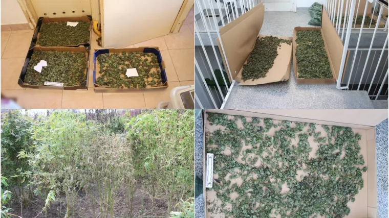 U Zagrebu pao još jedan 'diler deda': Pogledajte što je sve policija pronašla kod njega