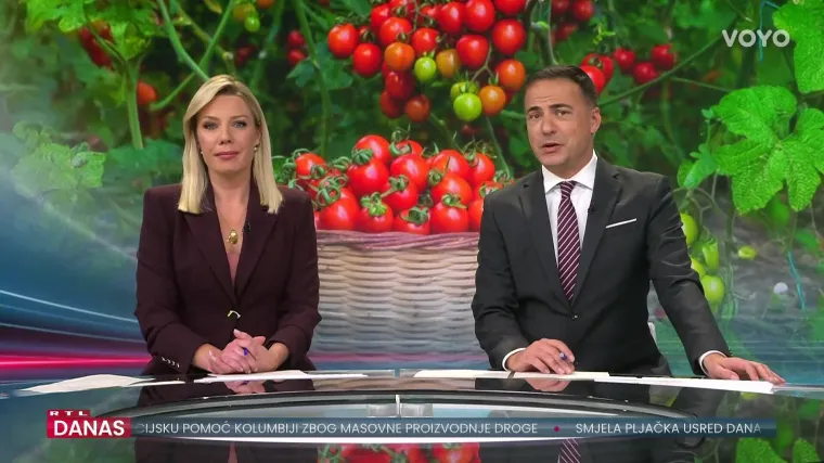 Ovako izgleda berba rajčice u Kozarevcu