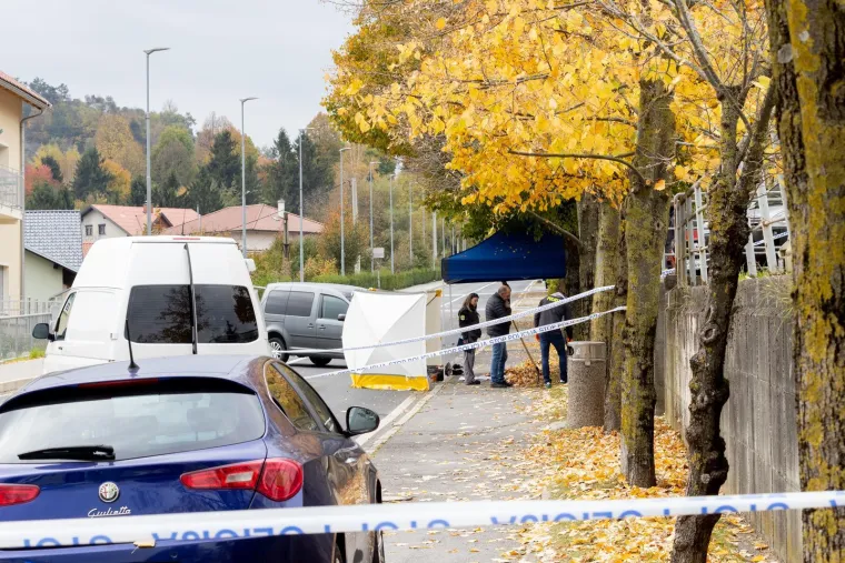 Cure detalji mučnog ubojstva: Vozač kombija nasred ulice likvidirao odgojiteljicu