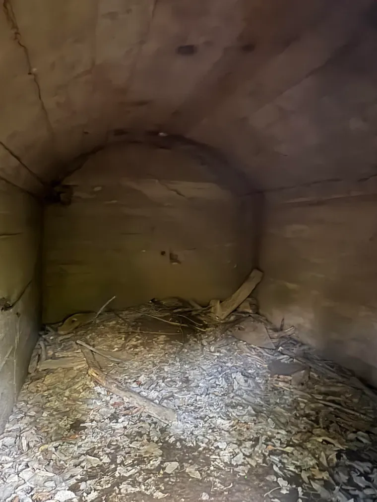 Naletjela je u šumi na tajanstvenu prostoriju te ostala iznenađena kada joj je rečeno čemu služi