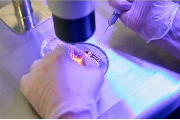 To bi moglo biti korisno: Znanstvenici uhvatili spermije kako uspješno ignoriraju zakone fizike