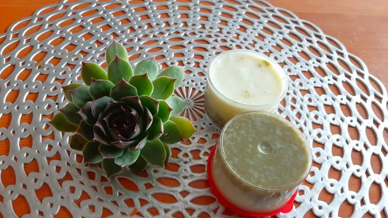 Ova ljekovita biljka pravi je čuvar zdravlja: Profesor otkriva recept za opekline