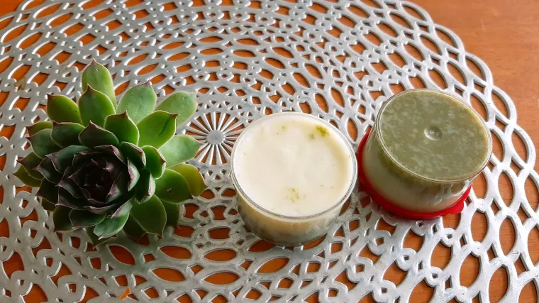 Ova ljekovita biljka pravi je čuvar zdravlja: Profesor otkriva recept za opekline