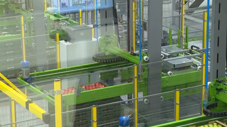 Projekt vrijedan 26 milijuna eura budi nadu voćarima, ali stručnjaci nemaju dobre vijesti