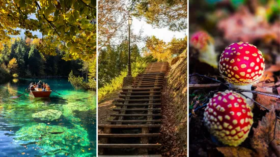 Boje jeseni ukrasile Hrvatsku: Ovo su najljepši prizori koje su snimili čitatelji Net.hr-a