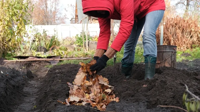 Pripremite okućnicu za zimu: Zaštitite biljke od mraza i odradite ključne radove u vrtu