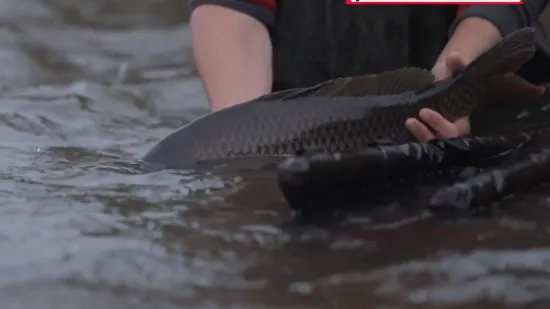 Nova virusna bolest u Slavoniji: 'Bojimo se samo jedne stvari...'