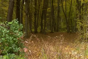 Ubio suprugu, tijelo bacio u šumu pa sebi presudio: Na papiriću ostavio smjernice do tijela