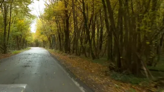Muž je ubio u stanu pa bacio u šumu? Ostavio je trag do nje: 'Na papiriću ostavio uputu'