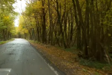 Muž je ubio u stanu pa bacio u šumu? Ostavio je trag do nje: 'Na papiriću ostavio uputu'