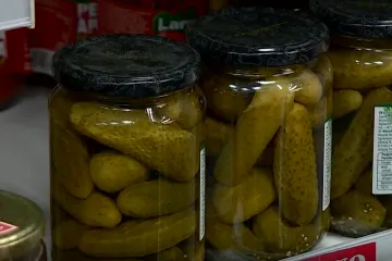 Krastavci napucani lijekom protiv temperature! Istražili smo detalje slučaja koji je digao EU na noge