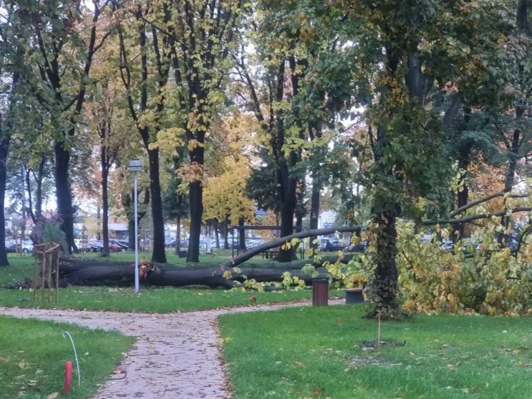 Nevrijeme poharalo Hrvatsku: Tisuće bez struje, vjetar rušio stabla...