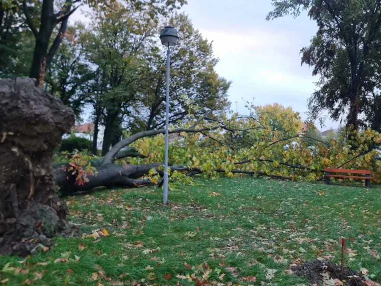 Nevrijeme poharalo Hrvatsku: Tisuće bez struje, vjetar rušio stabla...