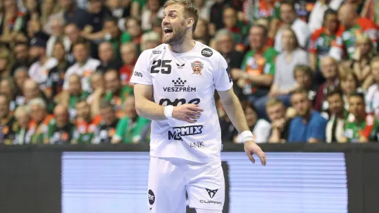 Luka Cindrić nije mogao vjerovati svojim očima: Strašna ozljeda njemačke rukometne zvijezde