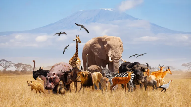 [KVIZ] Ljubitelji životinja, znate li sve točne odgovore?