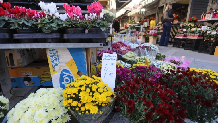 Inspektori češljaju cvjećarnice, ali i online trgovinu: Ovim trgovcima prijeti kazna od 4.000 eura