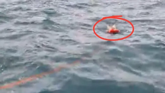 Avantura umalo završila kobno: Razgovarali smo sa ženom koja je snimila dramatičnu akciju u Zadru