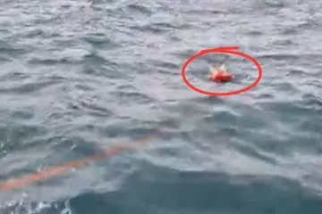 Avantura umalo završila kobno: Razgovarali smo sa ženom koja je snimila dramatičnu akciju u Zadru