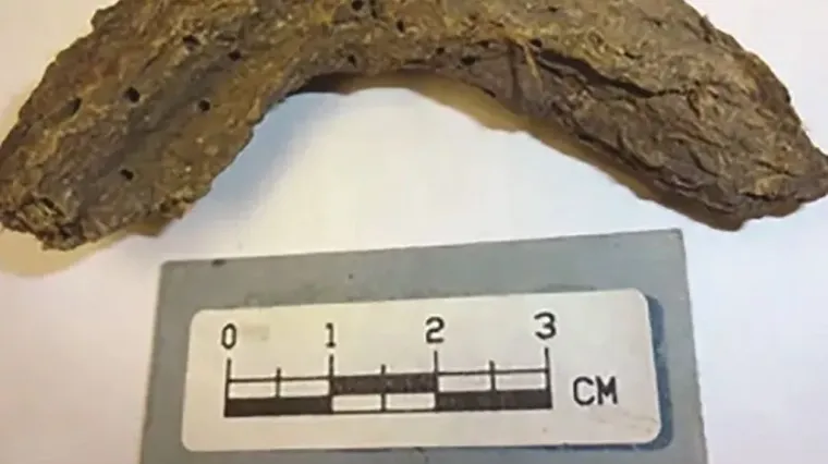 Pronađen ljudski izmet star 1300 godina: Mogao bi promijeniti puno toga