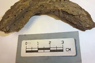 Pronađen ljudski izmet star 1300 godina: Mogao bi promijeniti puno toga