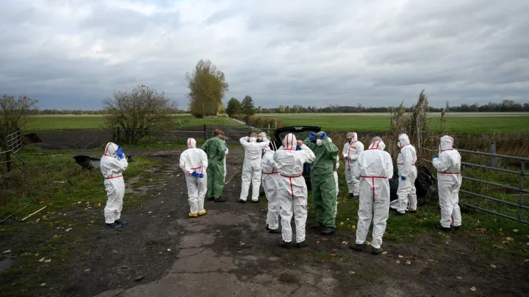 Virus se širi neobično velikom brzinom: Pronađeno više od tisuću uginulih ždralova