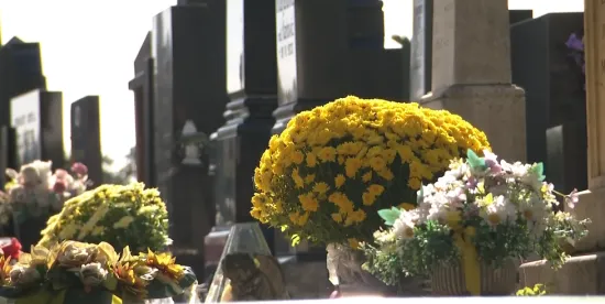 Cvjećari rade dan i noć, skuplje je, ali se kupuje: Provjerili smo cijene aranžmana i svijeća