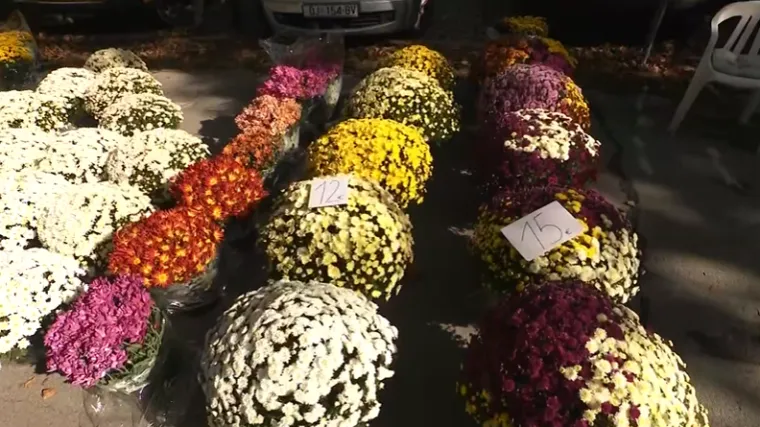 Cvjećari se oglasili uoči Svih svetih: 'Rast troškova i prodaja na crno najveći su izazov...'