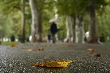 Hrvata razbjesnila neobična buka u nedjelju ujutro: Njegova kletva susjedu je apsolutni hit