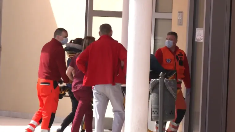 Prva noć u novoj kući umalo je završila kobno za obitelj, a za sve je kriv opasni kukac