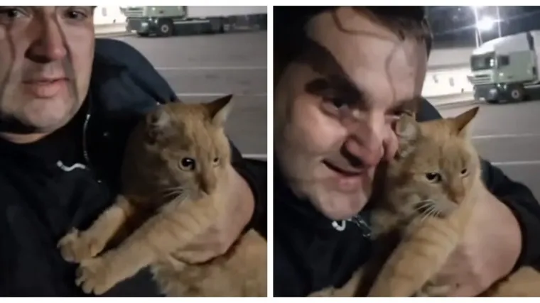 Supruga mu je naložila da izabere između nje ili mačke, sada je sretno razveden